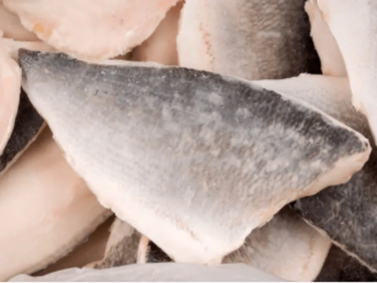 Frozen skin-on white fish fillets stacked together